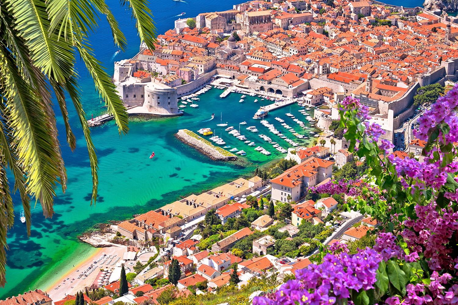 An overhead view of a beautiful town on the water. We see lots of homes and buildings with red roofs. The town is on the water and the water is a crystal clear blue and green. There are lots of boats on the water and we can see the coral at the bottom of the water. From the viewers vantage point you can see purple flowers and a palm trees leaves.