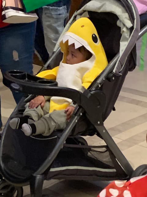 A child in a stroller wearing a yellow baby shark costume.